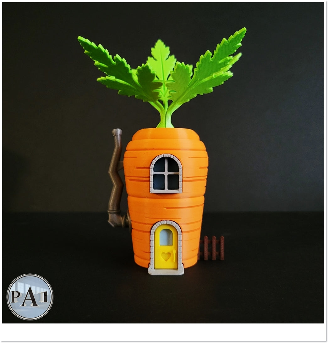 Carrot Gnome Home