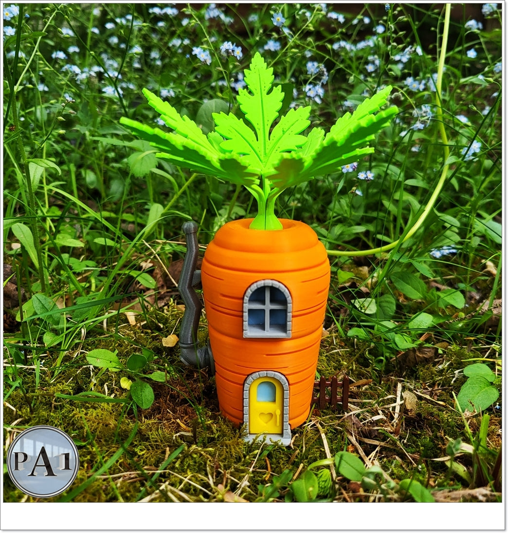 Carrot Gnome Home