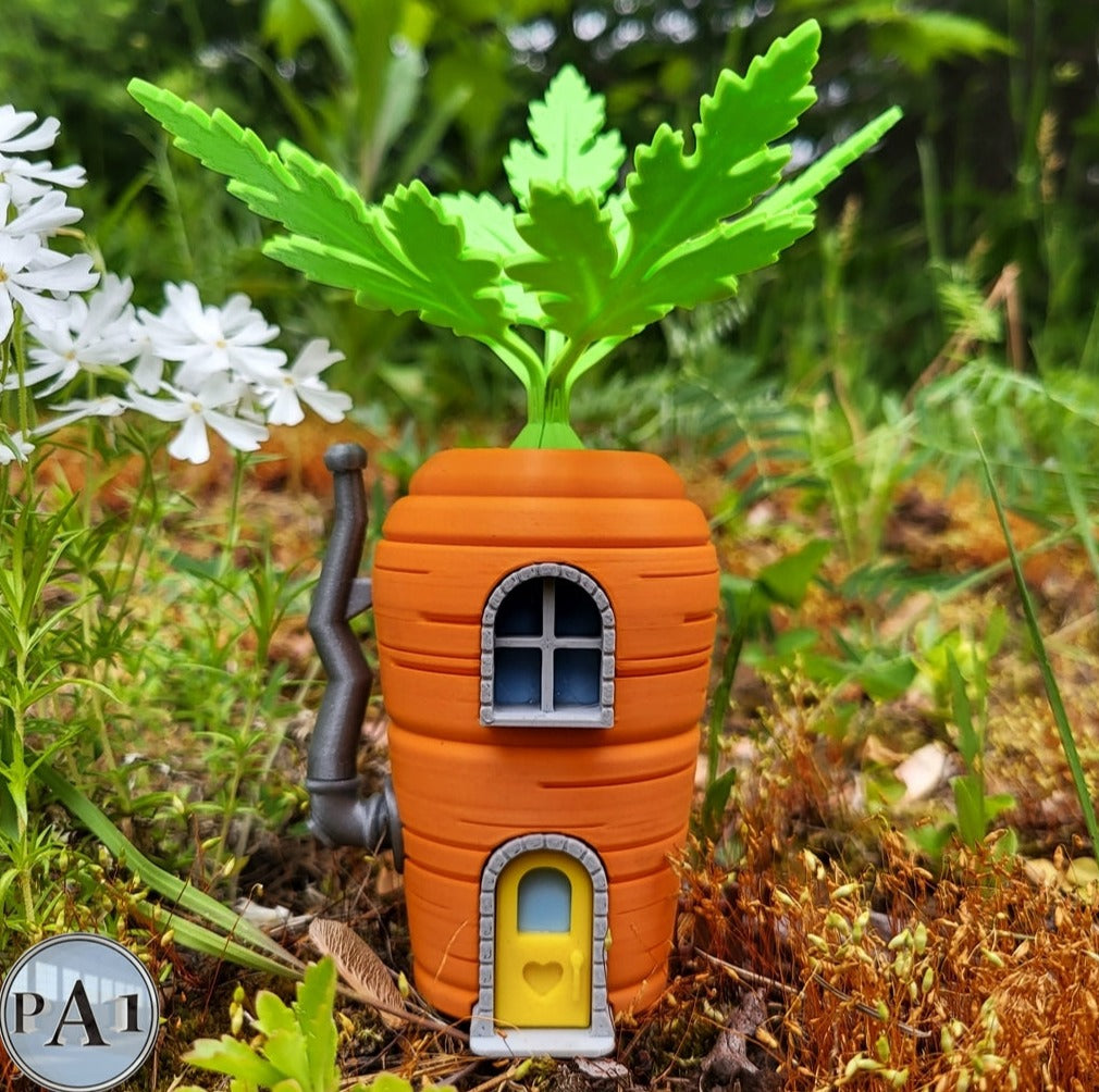 Carrot Gnome Home