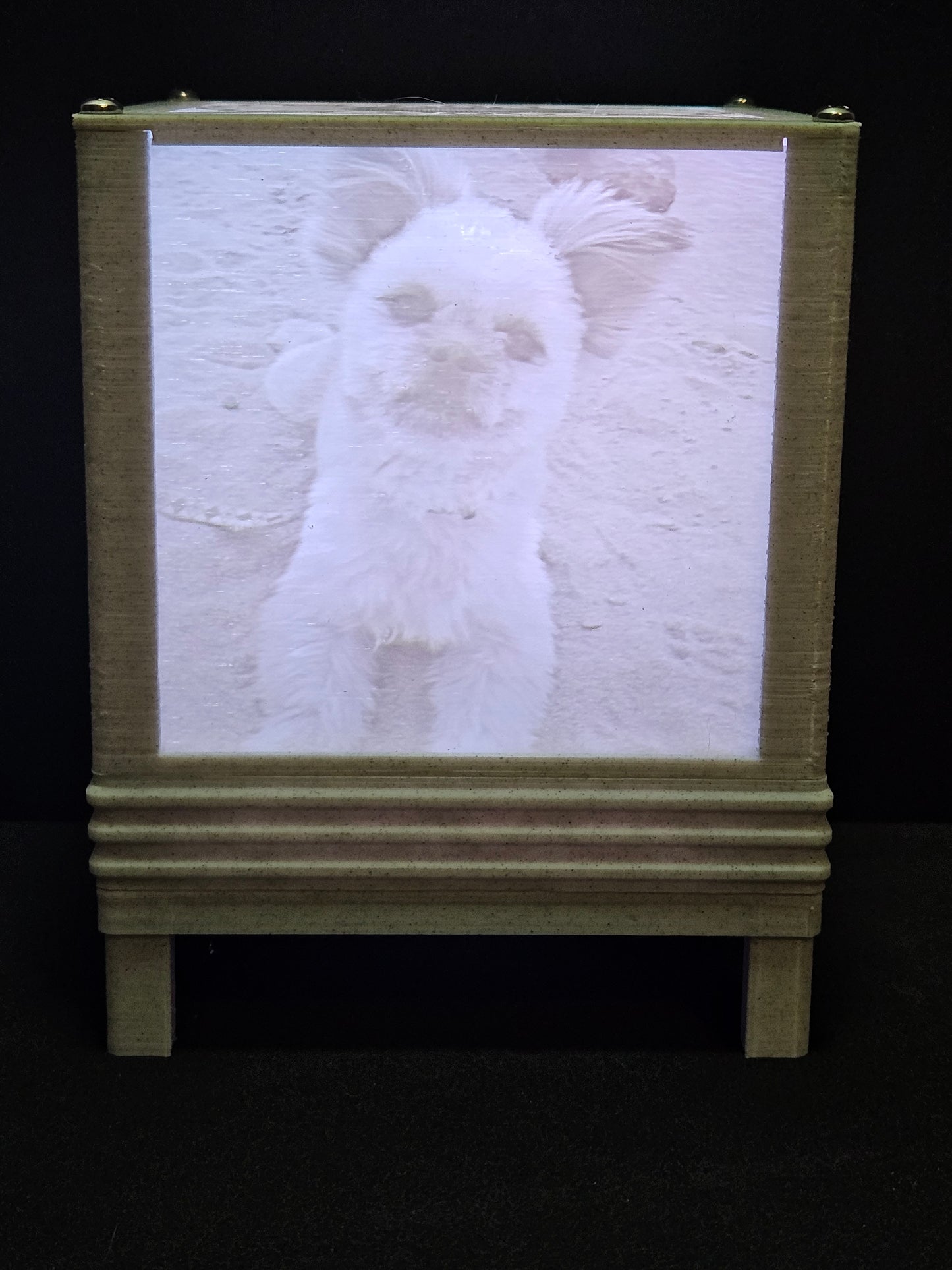 Customizable LED Lithophane Display