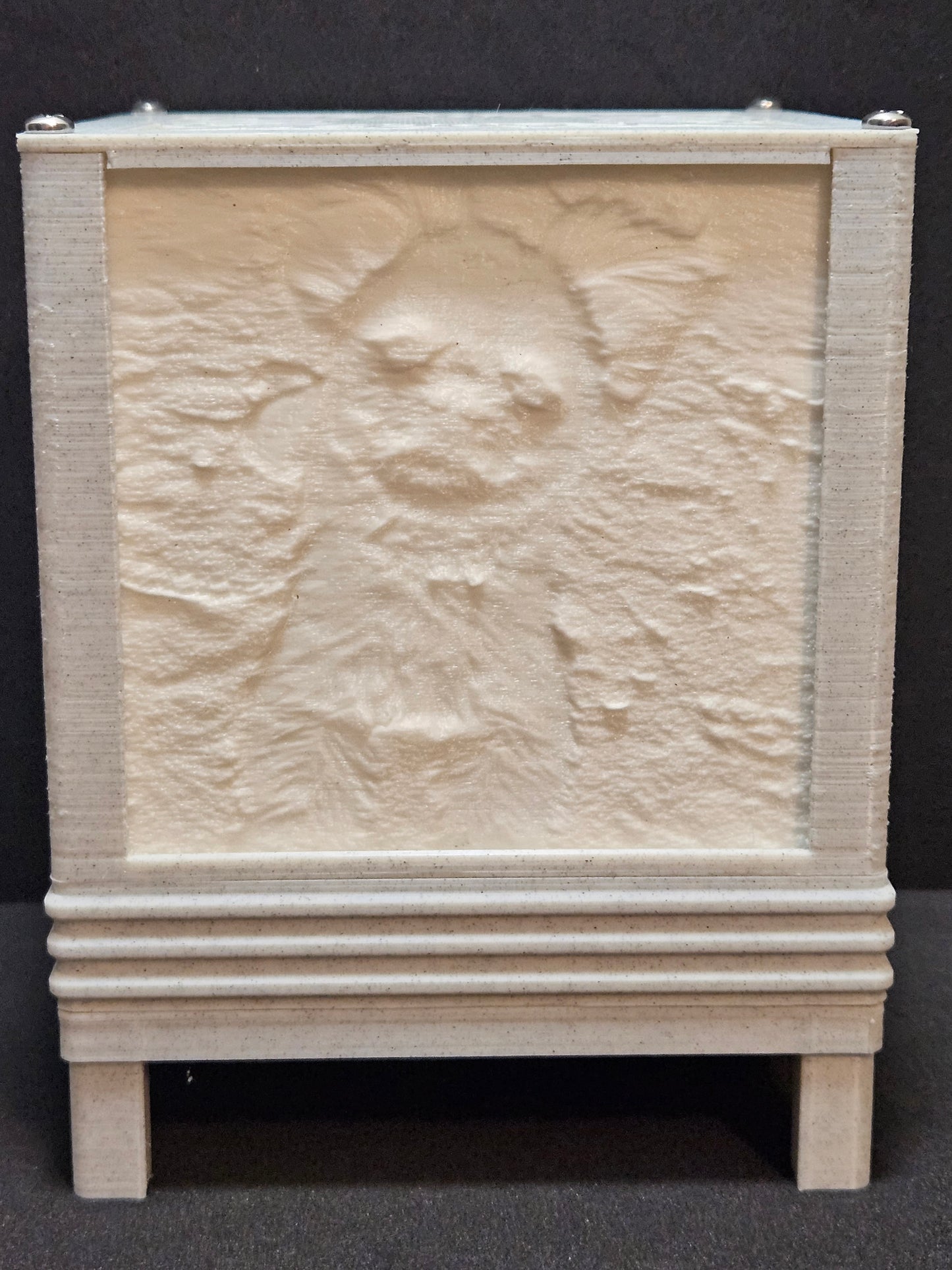 Customizable LED Lithophane Display