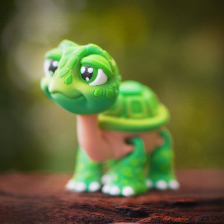 Flexi Tortoise