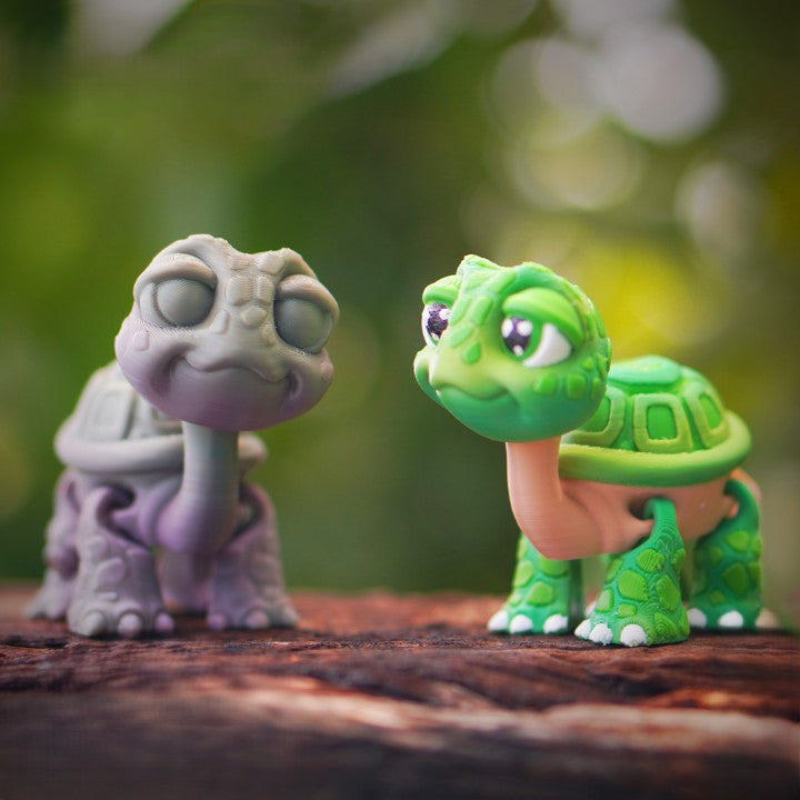 Flexi Tortoise