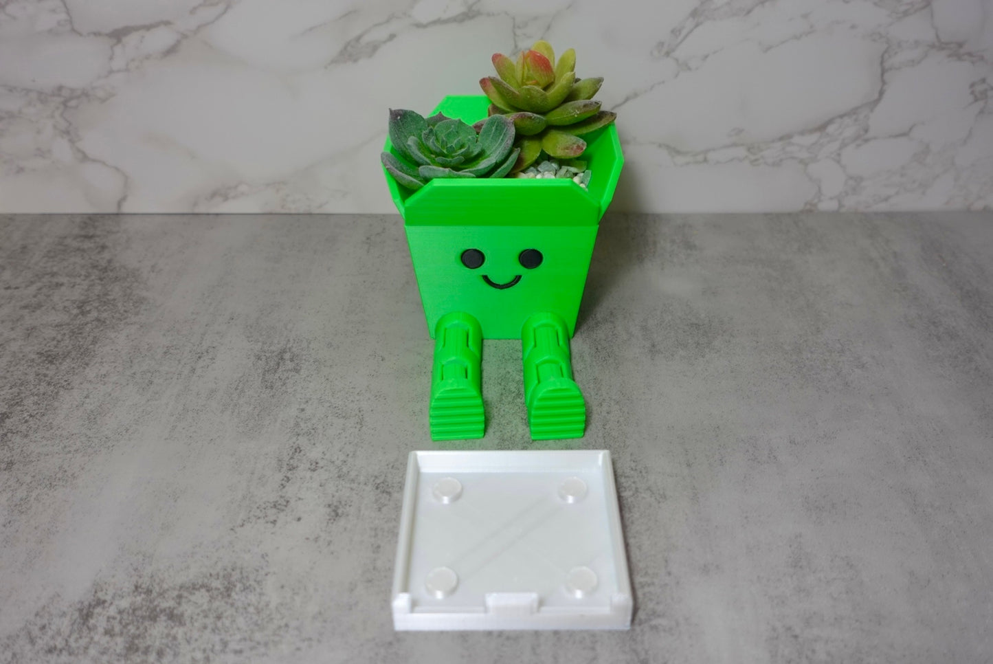 Takeout Planter