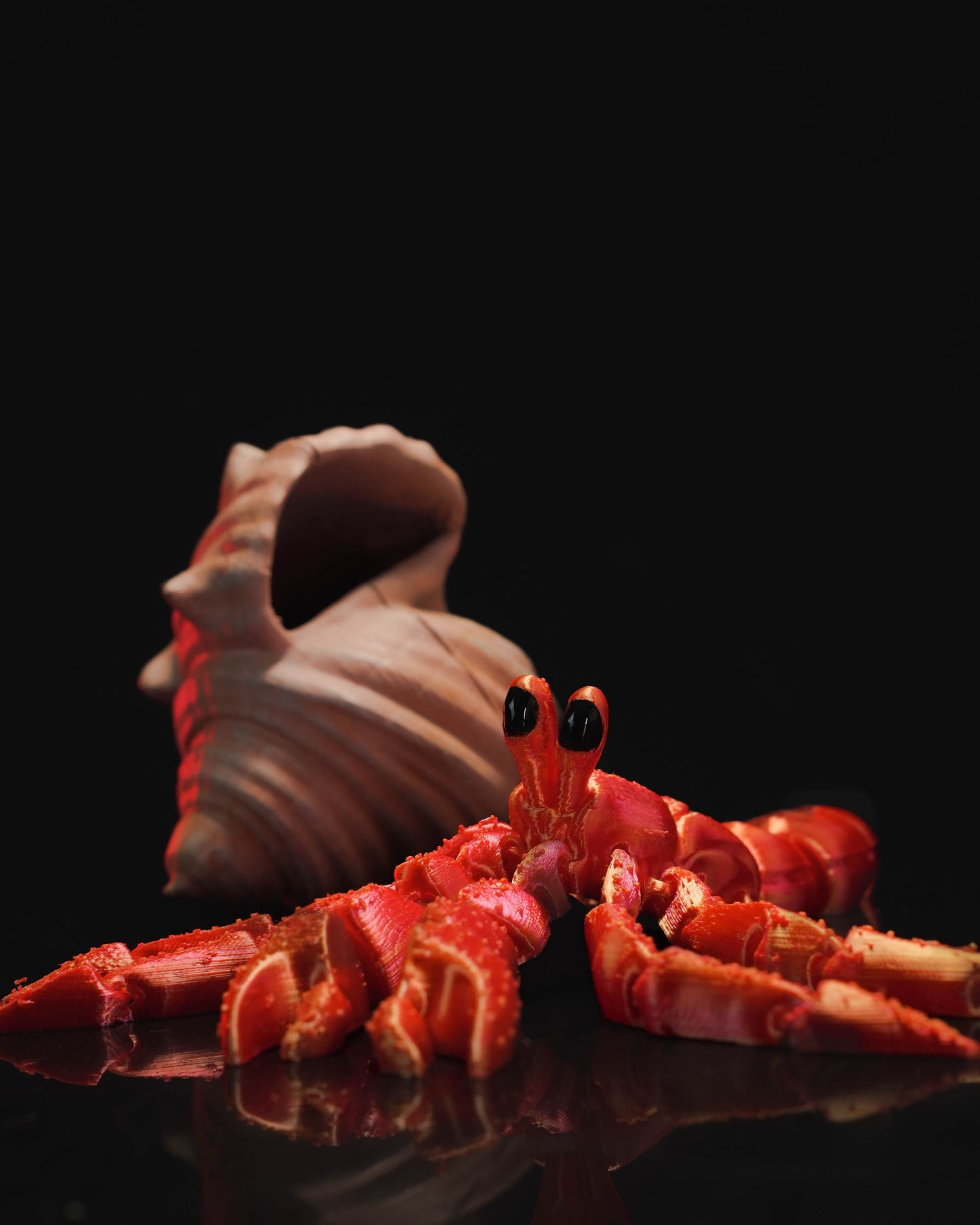 Flexi Hermit Crab
