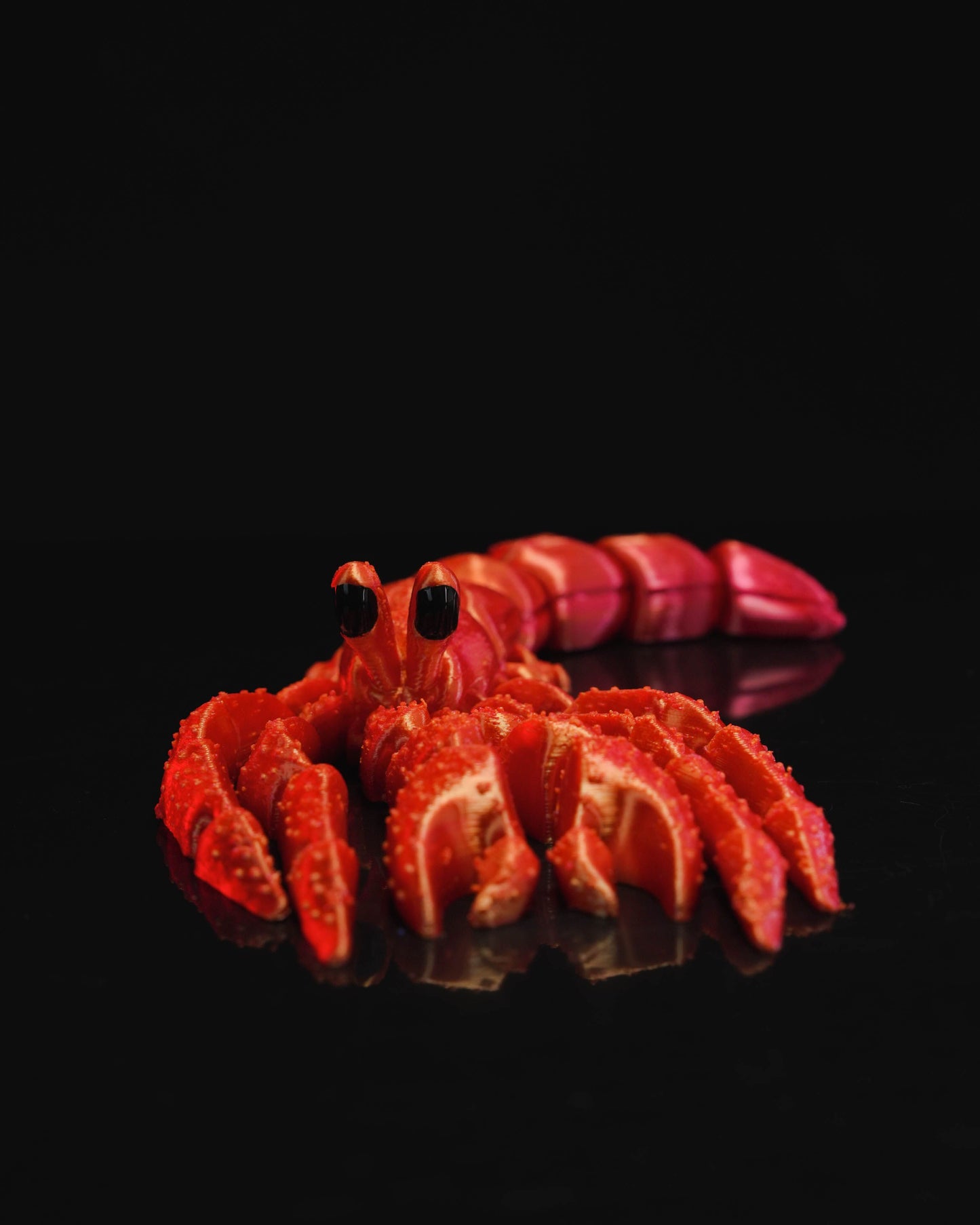 Flexi Hermit Crab