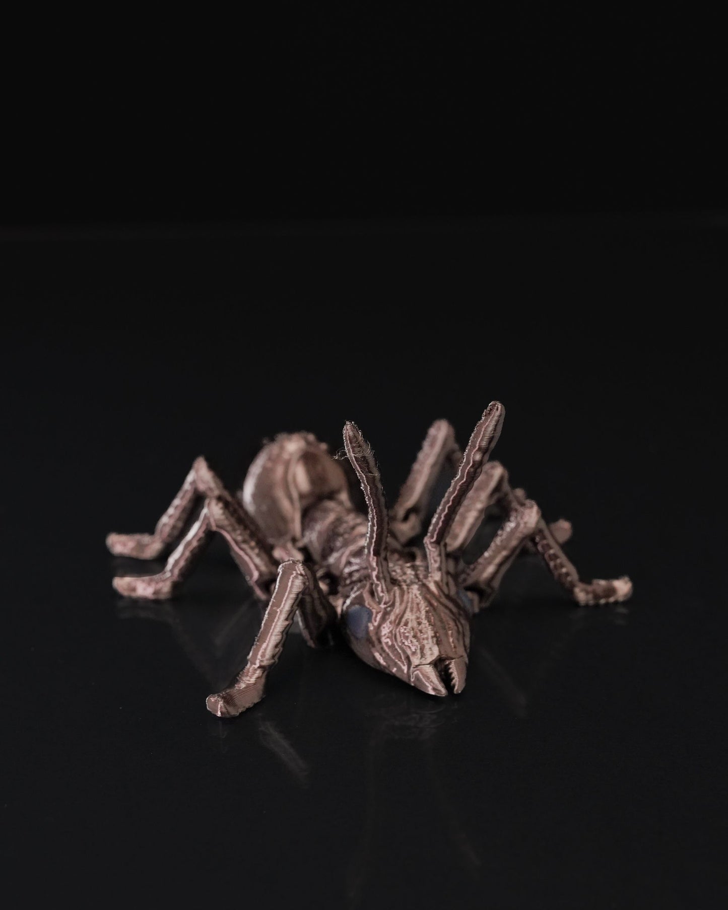 Flexi Ant