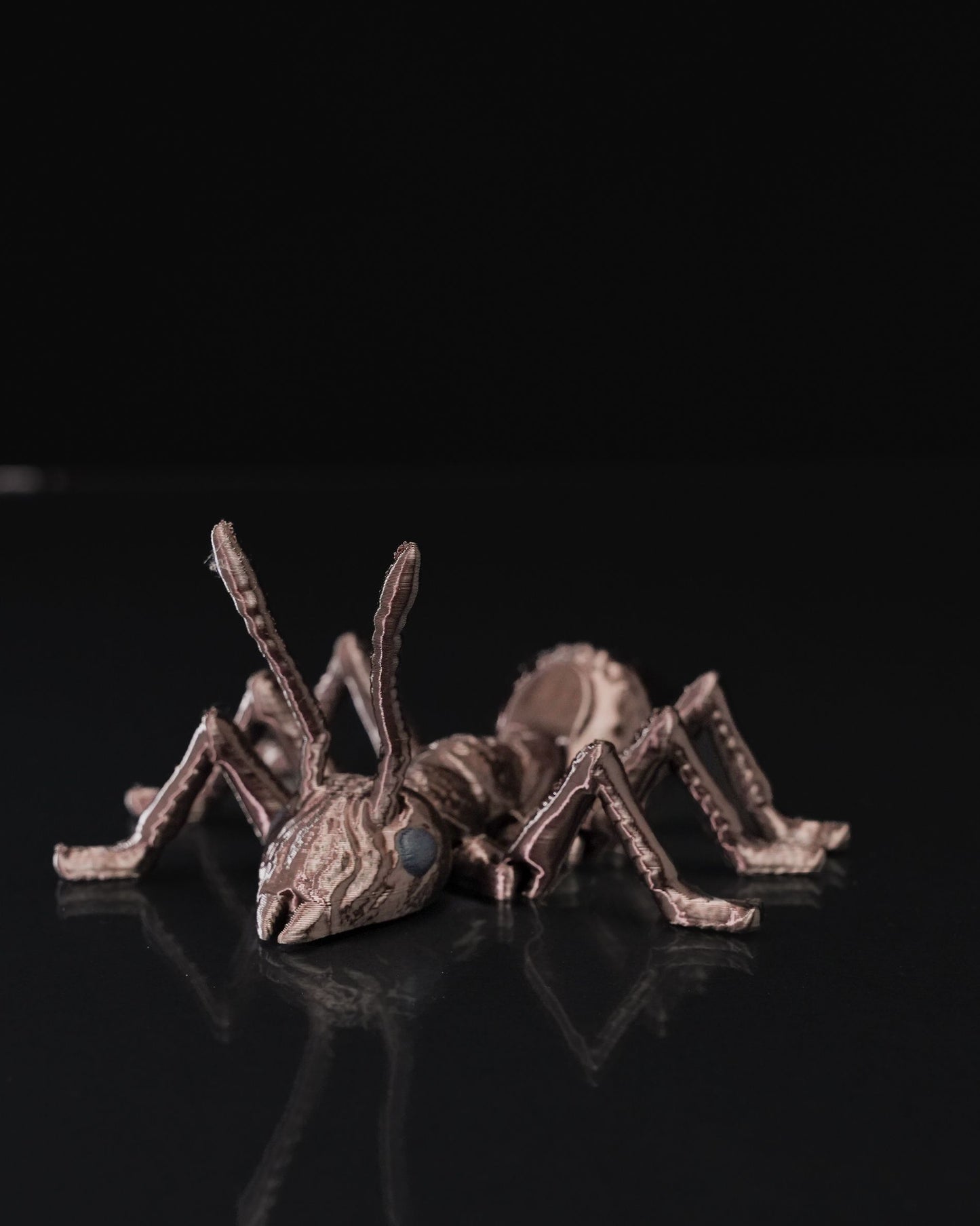 Flexi Ant