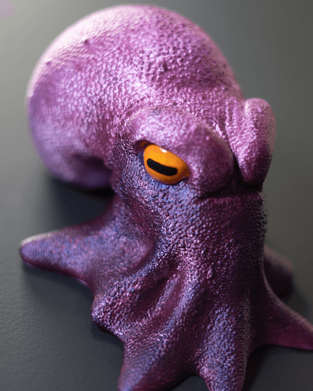 Octopus Wall hook