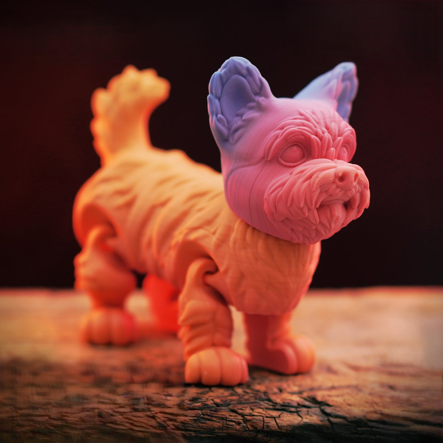 Flexi Yorkie