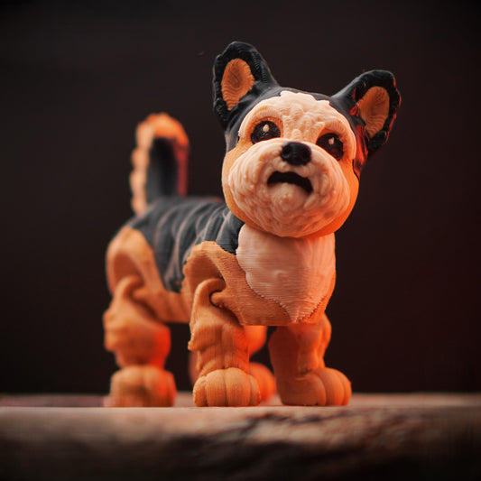 Flexi Yorkie