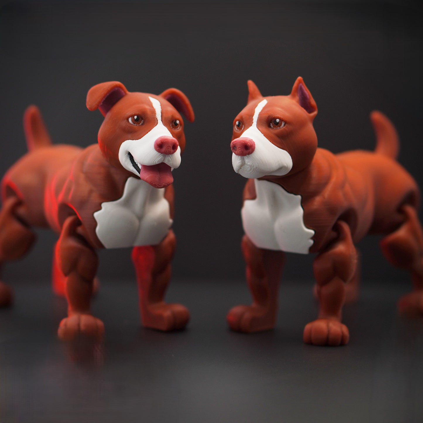 Flexi Pitbull