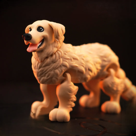 Flexi Golden Retriever