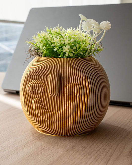 Smiley Dude Organizer