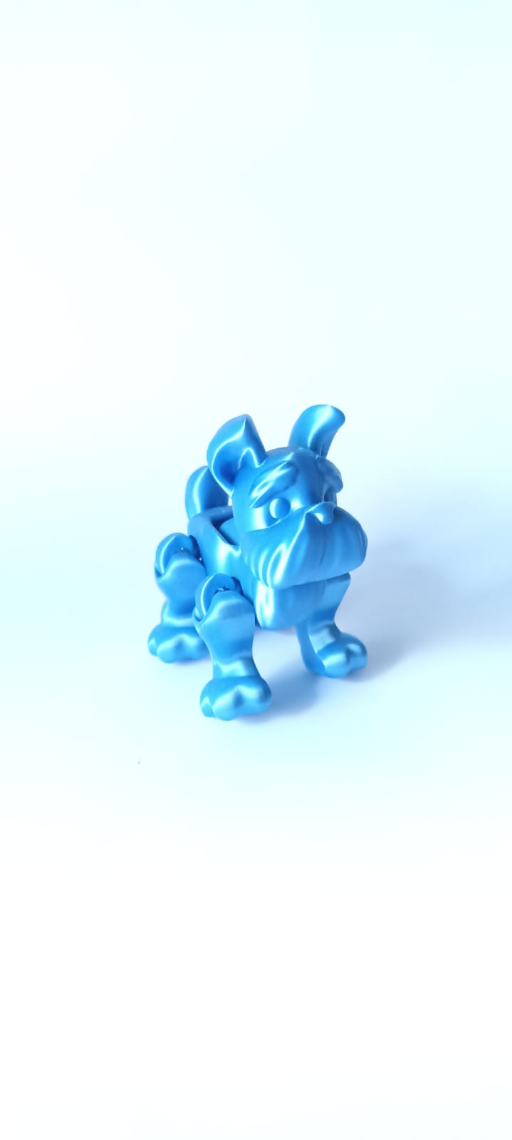 Flexi Schnauzer Dog