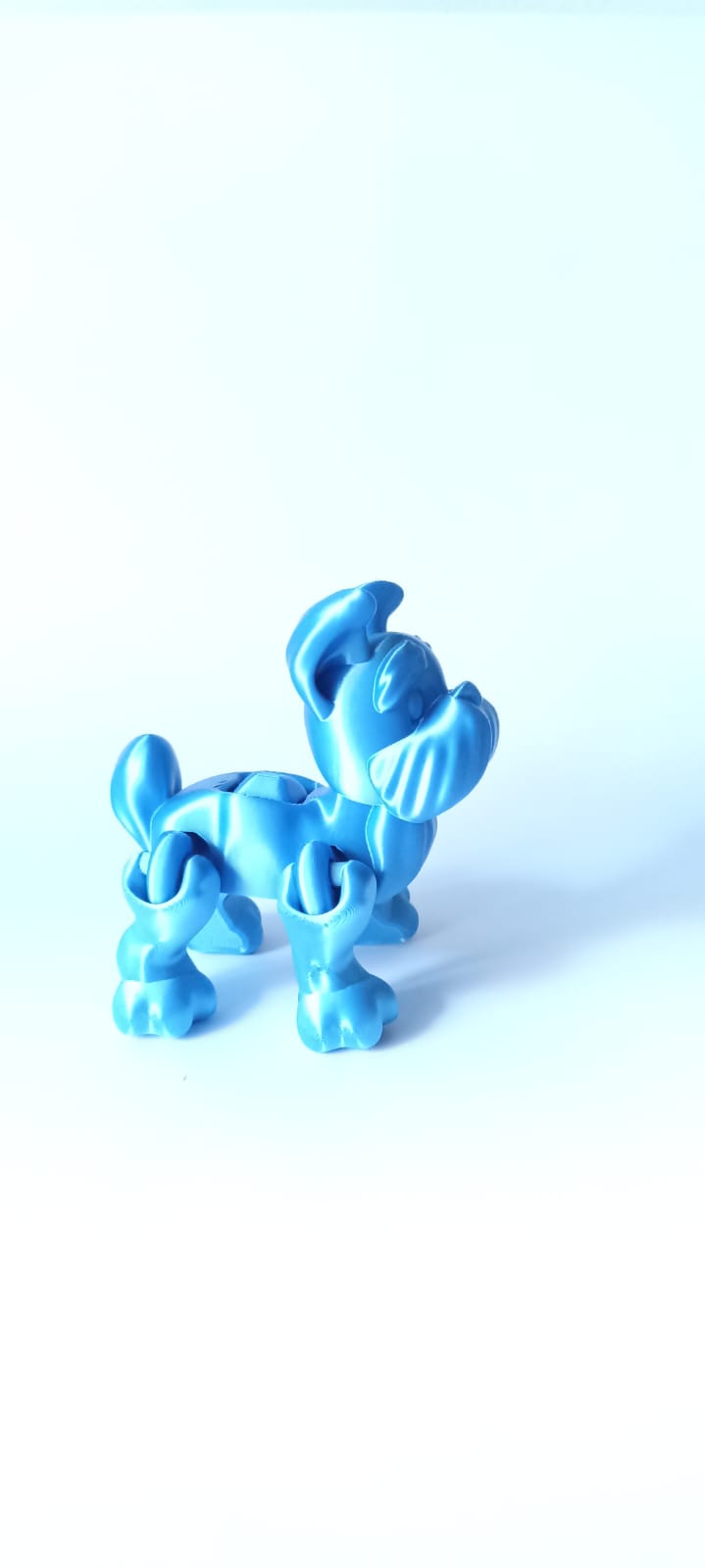 Flexi Schnauzer Dog