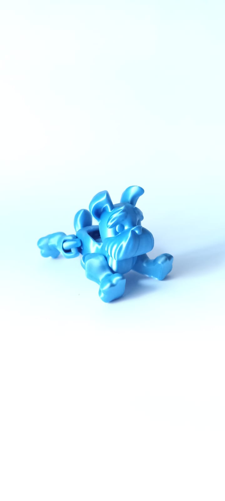 Flexi Schnauzer Dog