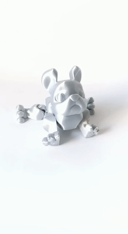 Flexi French Bulldog