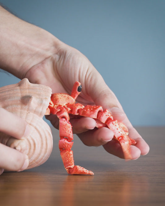Flexi Hermit Crab