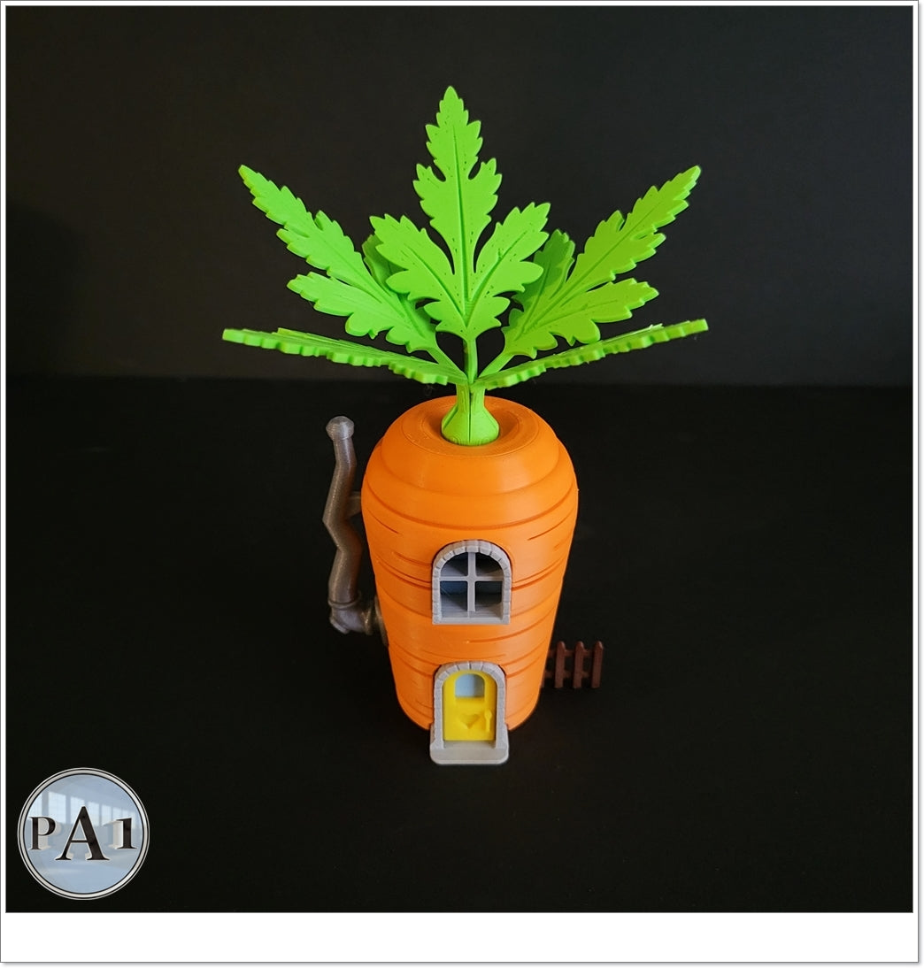 Carrot Gnome Home
