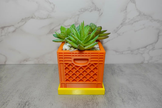 Mini Crate Planter
